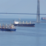 Baltic Exchange publishes PwC dry bulk and container box indices reports