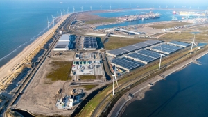 Agribulk bright spot as overall throughput down in transitioning Rotterdam  