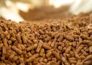 American Feed Industry commends vital supply chain legislation