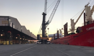 Antwerp awards breakbulk concession