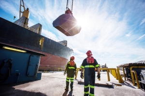 Associated Terminals advances marine cargo innovation with two Liebherr CBG 500 E Cranes 