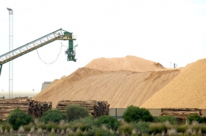 Australian woodchip exports soar