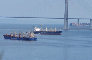 Baltic Exchange publishes PwC dry bulk and container box indices reports