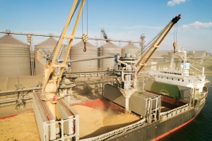 Bimco approves revised synacomex grain charter