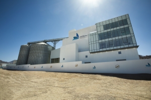 Bühler and Al-Hazaa open cutting-edge flour mill in port of Aqaba, Jordan
