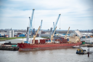 Bulk rises in Hamburg as overall throughput falls