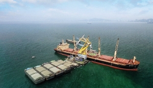 Bunge and Bangkok Produce Merchandising expand soy supply partnership