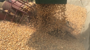 Bunge completes sale of its North America corn milling business