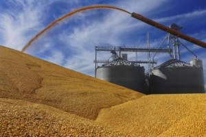 Bunge shareholders approve Viterra combination