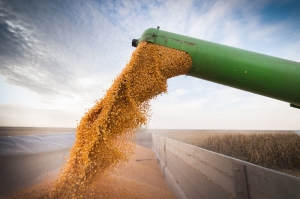 Cargill focuses on support for agriculture 