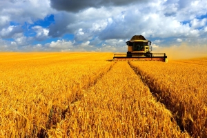 CGC calls for strong action to address trade barriers facing grain exports to the EU