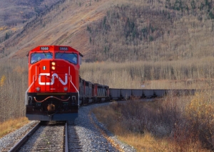 CN breaks grain record 