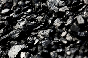 Coal significant in energy transition say German importers 