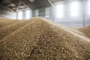 Continued stability forecast for EU compound feed production 