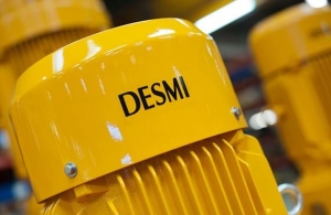 DESMI gains market share despite pandemic