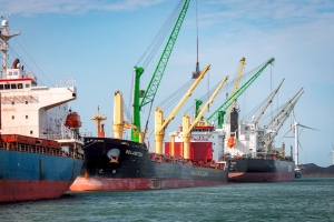 Dry bulk increases again in North Sea Port