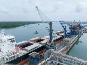 Electric Liebherr portal crane strengthens Baria Serece, Vietnam