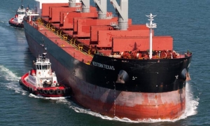Enhanced data collection for Western Bulk 
