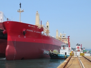 Fednav takes delivery of historic new vessel