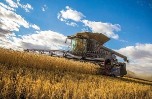 GGC welcomes new Canadian government and urges farm priorities action