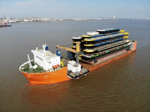 Hulls shipped from Shanghai to Rotterdam