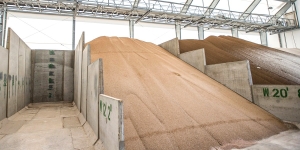 IFA Innovation Hub launches landmark report to accelerate fertilizer innovation