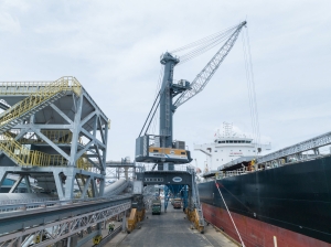 Liebherr MHCs expand their leading market position in 2025