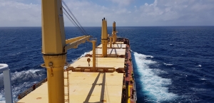 MINSHIP embarks on bulker biofuel trial 