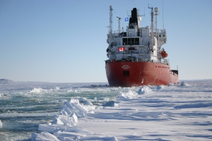 New Arctic safety guidelines