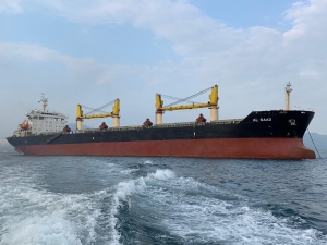 New SAFEEN bulkers highlight demand for bulk services from UAE ports