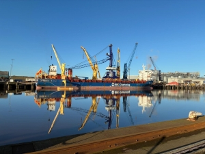 PD Ports strengthens Teesport bulk handling with &pound;5.4m crane investment