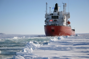 Port of Churchill and Fednav to examine year-round Canadian Arctic shipping needs