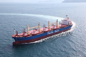 Positive results for Pacific Basin despite weaker freight market 