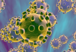 Prepare for coronavirus warns law firm