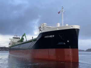 Repeat Aasen bulk carrier order emphasises Wärtsilä hybrid strength 