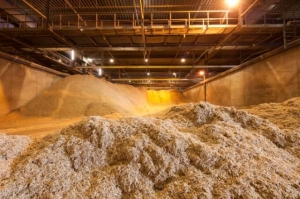 Rotterdam biomass imports grow 