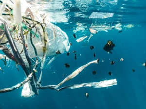 Shipping takes major sustainable plastic step with toolkit from MACS
