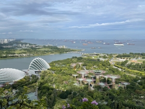 Singapore still leading maritime city