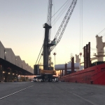 Antwerp awards breakbulk concession