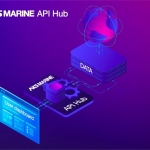 AXSMarine API Hub revealed
