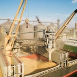 Bimco approves revised synacomex grain charter