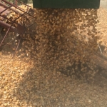 Bunge completes sale of its North America corn milling business