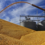 Bunge shareholders approve Viterra combination