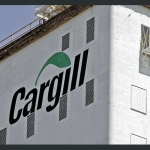 Cargill launches Asia Pacific digital studio to accelerate food/ag innovation