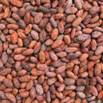 Cargill to end cocoa deforestation 
