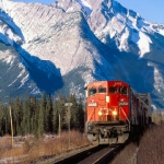 CN and CP report latest grain transport records