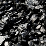 Coal significant in energy transition say German importers 