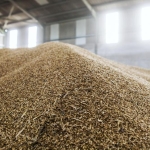 Continued stability forecast for EU compound feed production 