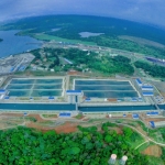 Dry bulk shipping bares brunt of Panama Canal water level crisis 
