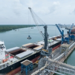 Electric Liebherr portal crane strengthens Baria Serece, Vietnam